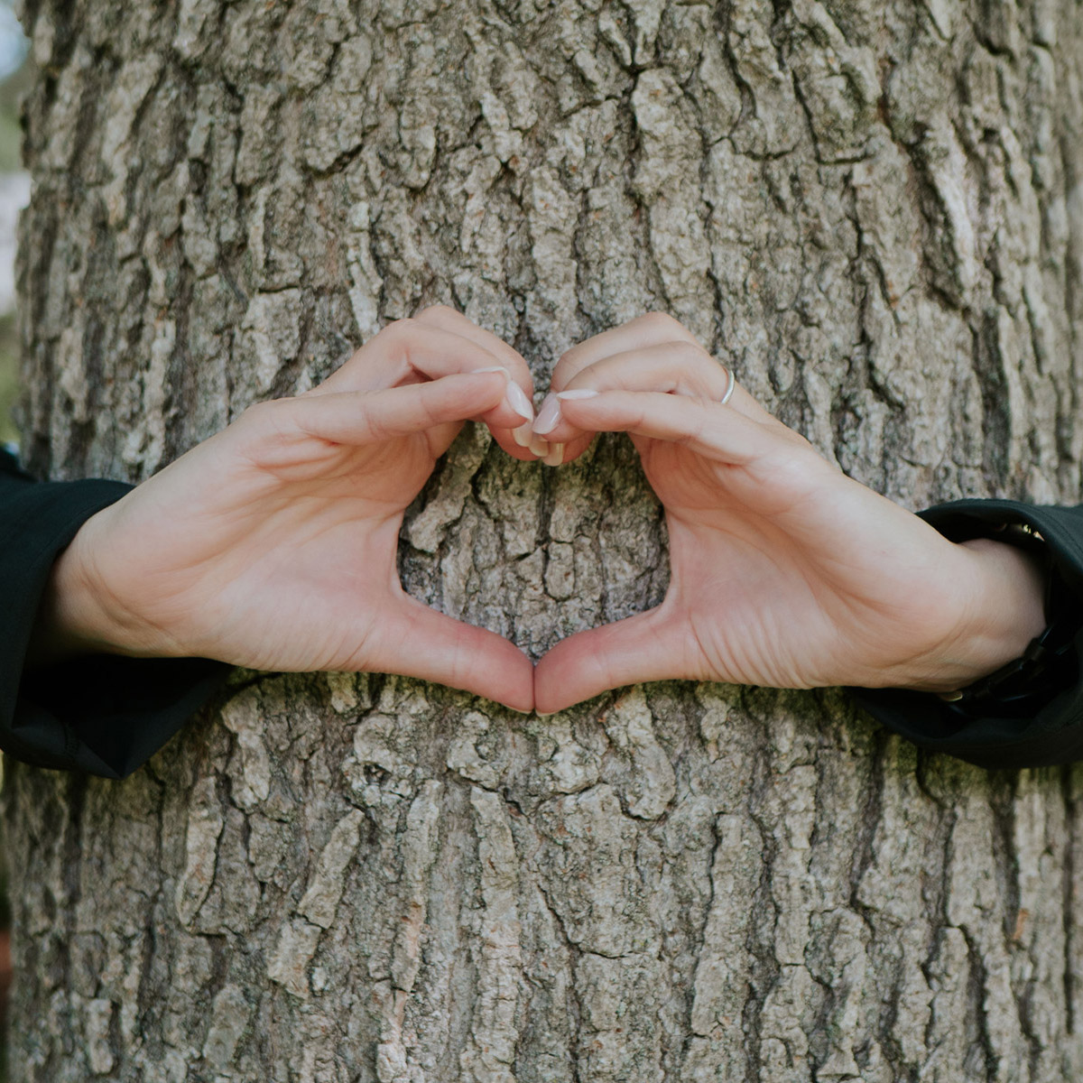 arboreal-solutions-love