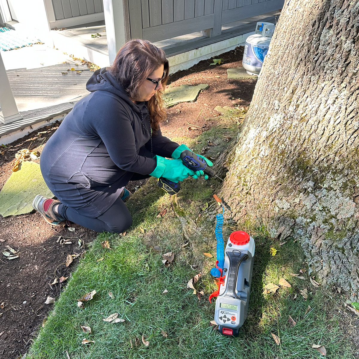 ash-tree-injection